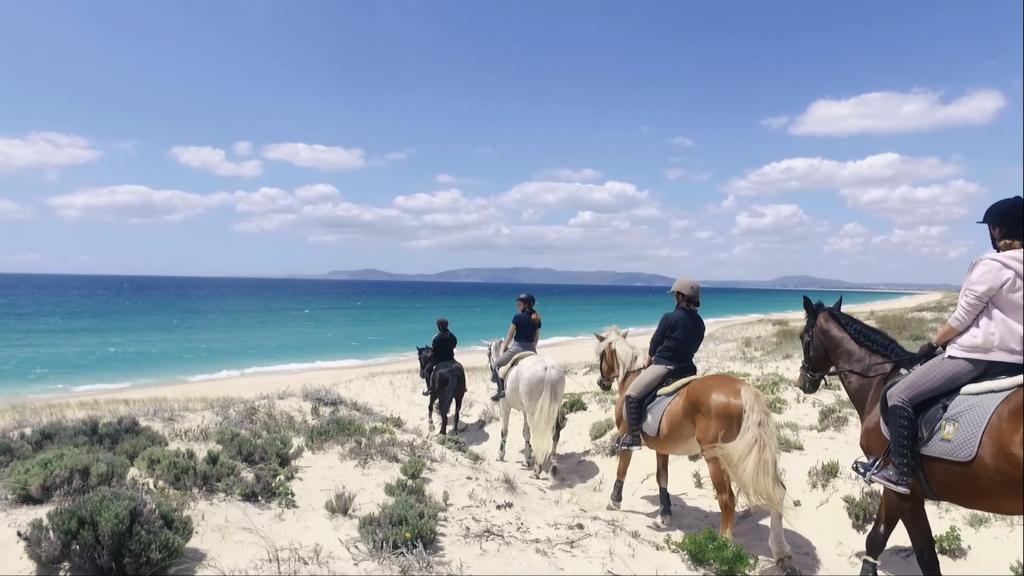 Horse riding
